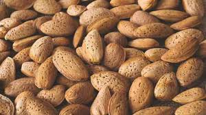 تصویر 3 از فروش عمده بادام درختی ارگانیک + مناسب تولید کنندگان روغن بادام